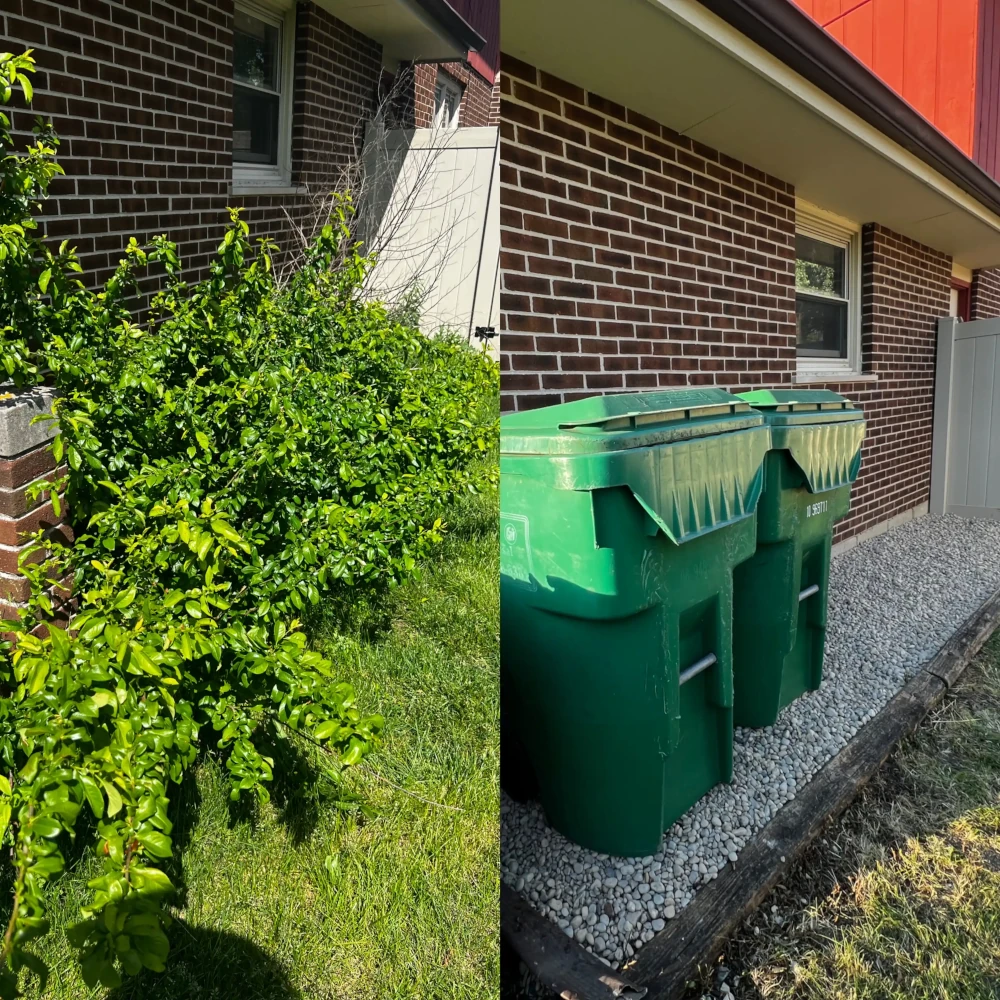 before and after of land scaping