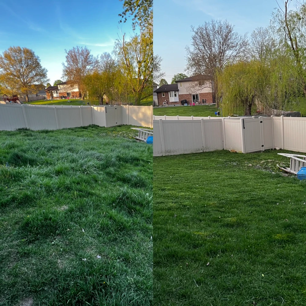 before and after of lawn mowing