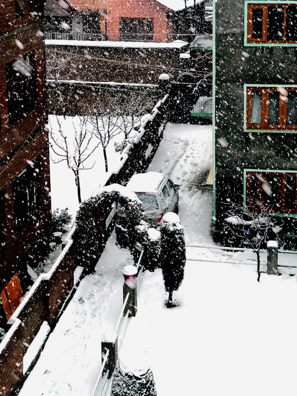 a bunch of snow on a house