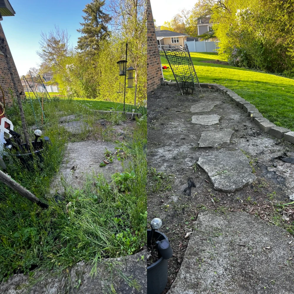 before and after of weed control